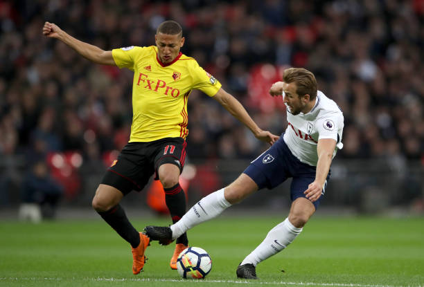 立即使用了 立即使用了